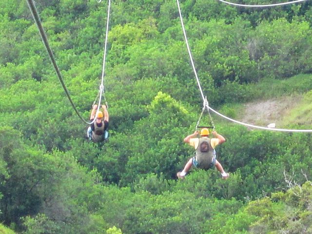 IMG 0595 copy